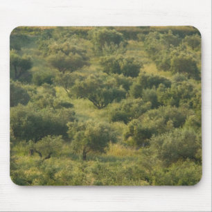 Tapis De Souris GRÈCE, Îles ioniennes, KEFALONIA, Havriata: