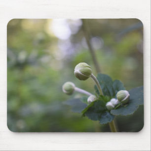 Tapis De Souris Green Flower Bud Jardin Nature Photographie Floral