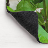 Tapis De Souris Green peppers (Coin)