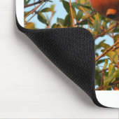 Tapis De Souris Grenade (Coin)