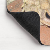 Tapis De Souris Grenouille (Coin)