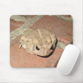 Tapis De Souris Grenouille (Avec souris)