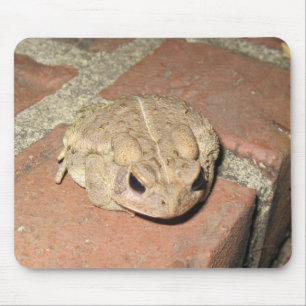 Tapis De Souris Grenouille