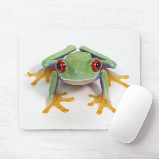 Tapis De Souris Grenouille (Avec souris)