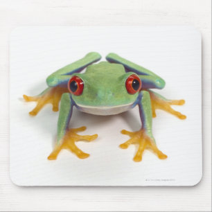 Tapis De Souris Grenouille