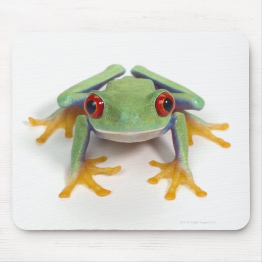 Tapis De Souris Grenouille (Devant)