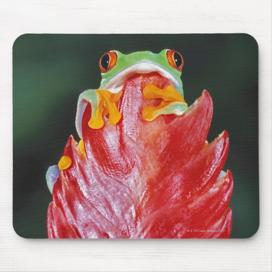 Tapis De Souris Grenouille à feuilles rouges (Devant)