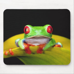 Tapis De Souris Grenouille arboricole aux yeux rouges, Agalychinis