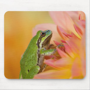 Tapis De Souris Grenouille arboricole du Pacifique sur des fleurs