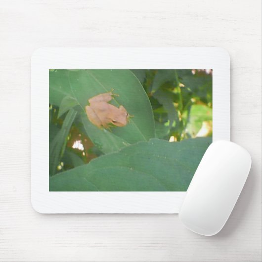 Tapis De Souris Grenouille assise sur la feuille verte (Avec souris)