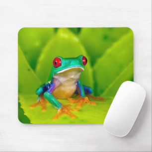 Tapis De Souris Grenouille aux yeux rouges, Costa Rica