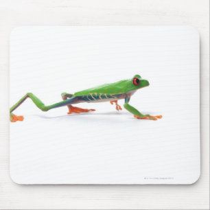 Tapis De Souris Grenouille aux yeux rouges marchant