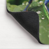 Tapis De Souris Grenouille colorée (Coin)