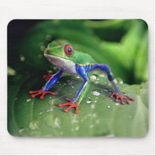 Tapis De Souris Grenouille colorée à l'oeil rouge sur Feuilles Pla
