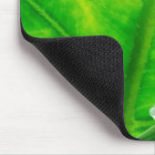 Tapis De Souris Grenouille d'arbre #1 (Coin)