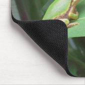 Tapis De Souris grenouille d'arbre dans les poivrons (Coin)