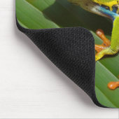 Tapis De Souris Grenouille d'arbre observée par rouge Mousepad (Coin)