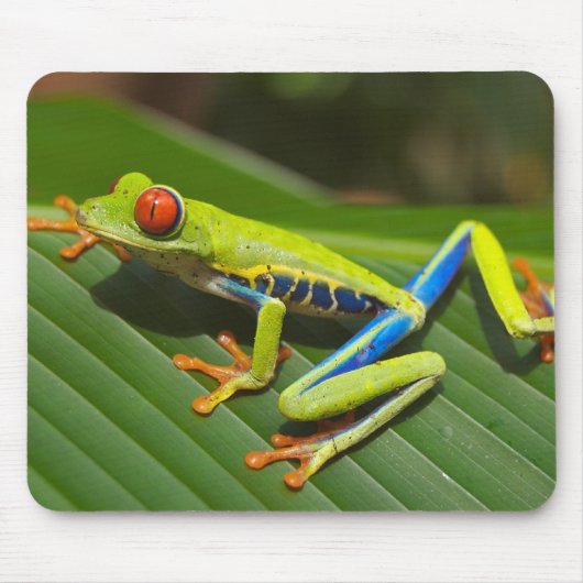 Tapis De Souris Grenouille d'arbre observée par rouge Mousepad (Devant)