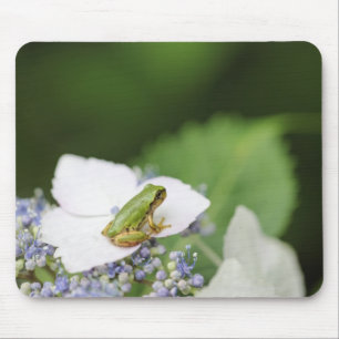 Tapis De Souris Grenouille d'arbre se reposant sur un hortensia,