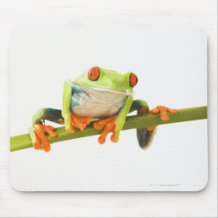 Tapis De Souris Grenouille d'arbre sur la tige