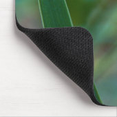Tapis De Souris Grenouille d'arbre vert sur Iris (Coin)