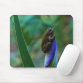 Tapis De Souris Grenouille d'arbre vert sur Iris (Avec souris)