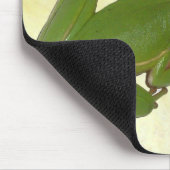 Tapis De Souris Grenouille d'arbre verte Mousepad (Coin)
