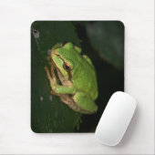 Tapis De Souris Grenouille d'arbre verte Mousepad (Avec souris)