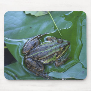 Tapis De Souris Grenouille de piscine, Amperauen, Allemagne