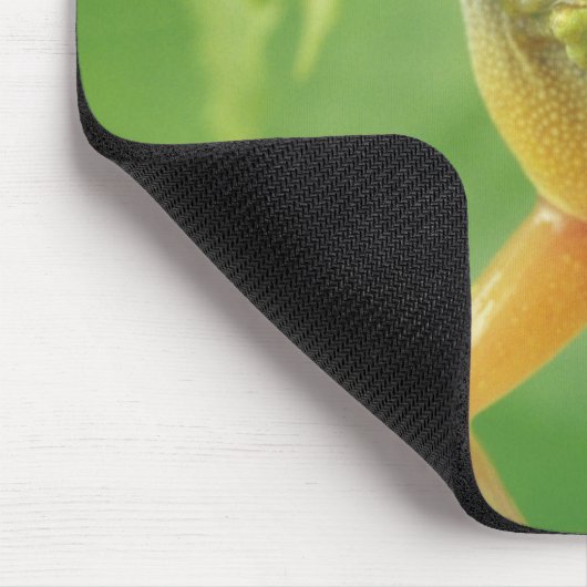Tapis De Souris Grenouille des arbres (Coin)