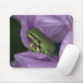 Tapis De Souris Grenouille des arbres de White (Avec souris)