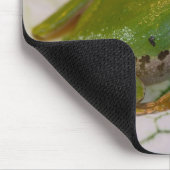 Tapis De Souris Grenouille des arbres du Pacifique sur les fleurs  (Coin)