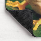 Tapis De Souris Grenouille des yeux rouges (Coin)
