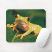 Tapis De Souris Grenouille des yeux rouges (Avec souris)