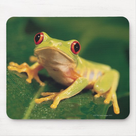 Tapis De Souris Grenouille des yeux rouges (Devant)