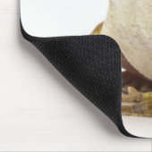 Tapis De Souris Grenouille d'or (Coin)