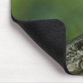 Tapis De Souris Grenouille dorée (Coin)