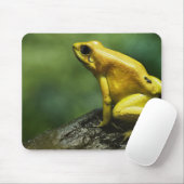 Tapis De Souris Grenouille dorée (Avec souris)