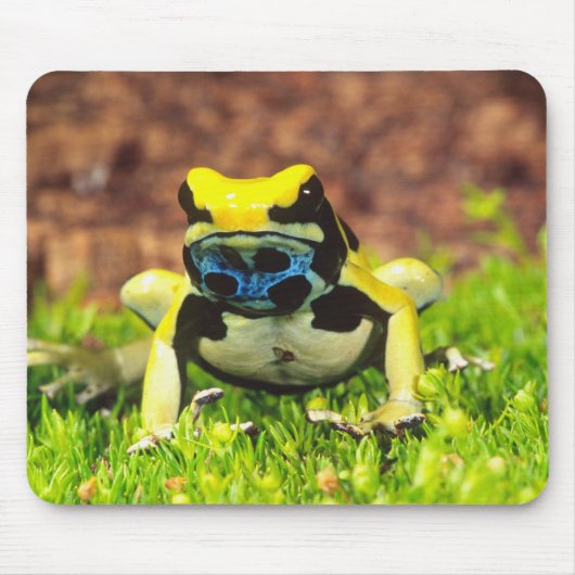 Tapis De Souris Grenouille empoisonnée, Dendrobates tinctorius, (Devant)