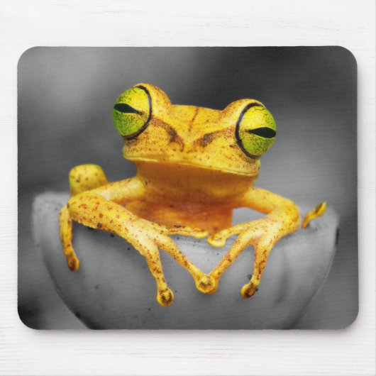 Tapis De Souris Grenouille jaune (Devant)