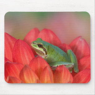 Tapis De Souris Grenouille léopard sur des fleurs dans le jardin