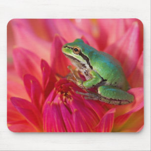 Tapis De Souris Grenouille léopard sur des fleurs dans notre jardi