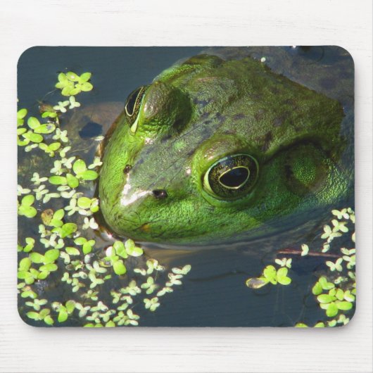 Tapis De Souris Grenouille Mousepad (Devant)