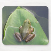 Tapis De Souris Grenouille Mousepad (Devant)