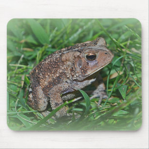 Tapis De Souris Grenouille Mousepad