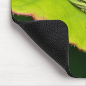 Tapis De Souris Grenouille Mousepad de Lil (Coin)