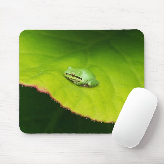 Tapis De Souris Grenouille Mousepad de Lil (Avec souris)
