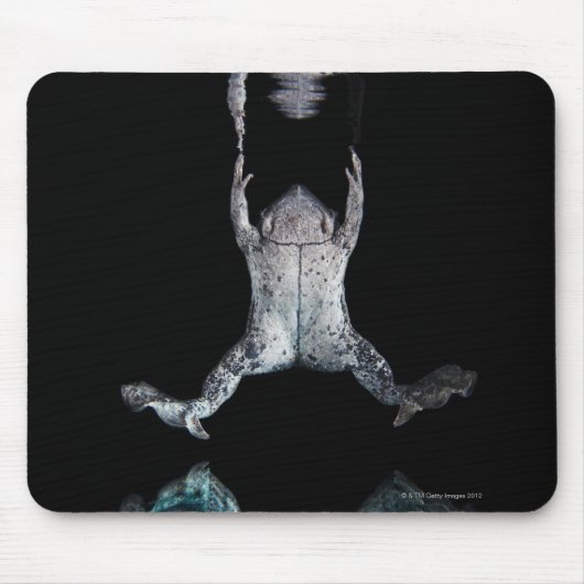 Tapis De Souris Grenouille nageuse (Devant)