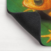 Tapis De Souris Grenouille orange (Coin)