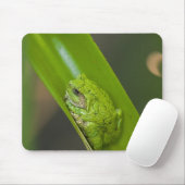 Tapis De Souris Grenouille sur une feuille verte (Avec souris)
